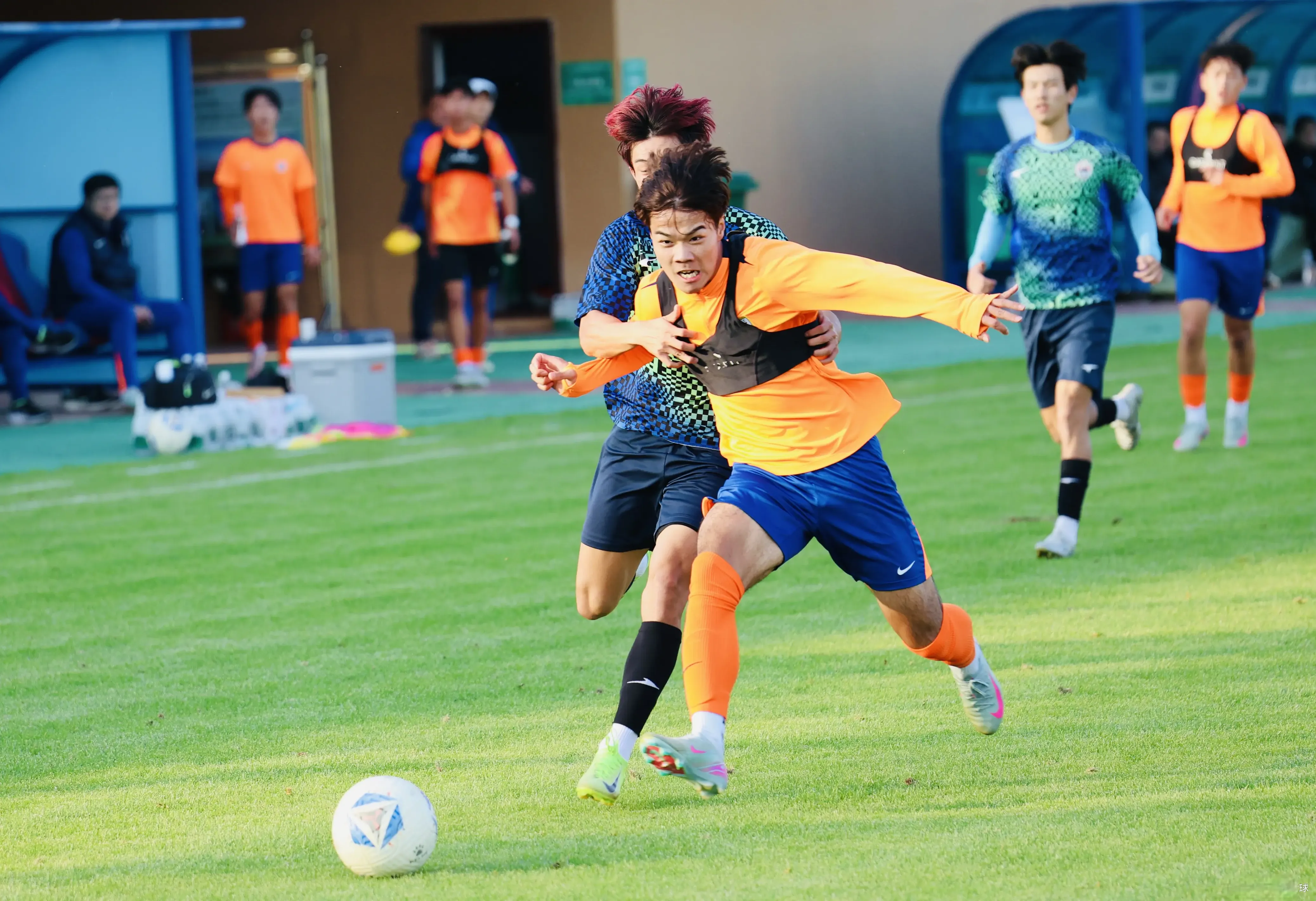 预祝全运会, msn